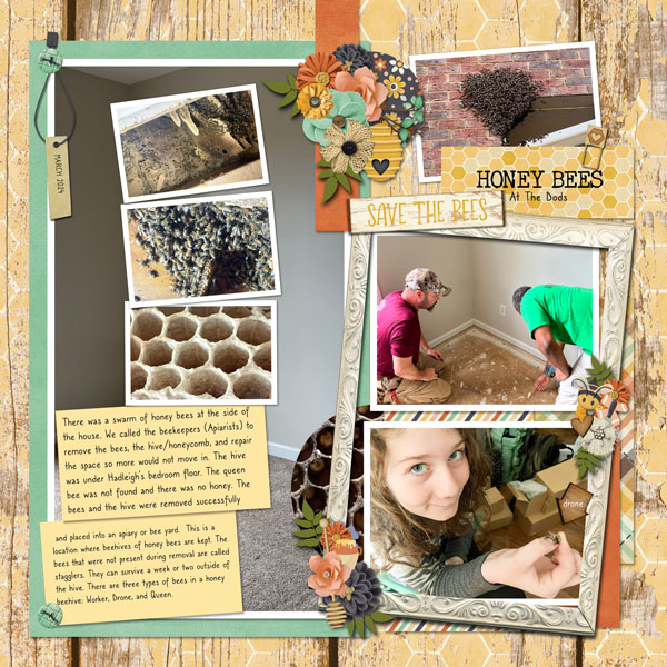 Template-Challenge-2_WEB2