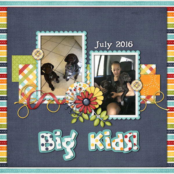 Template Challenge August 2016
