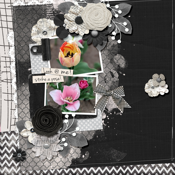 Template Challenge iNSD2022