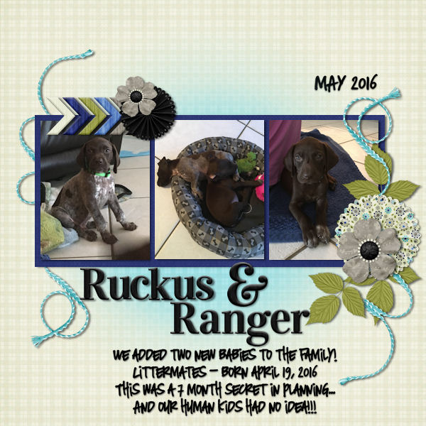 Template Challenge June 2016