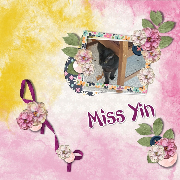 Template Challenge March 2021 Yin