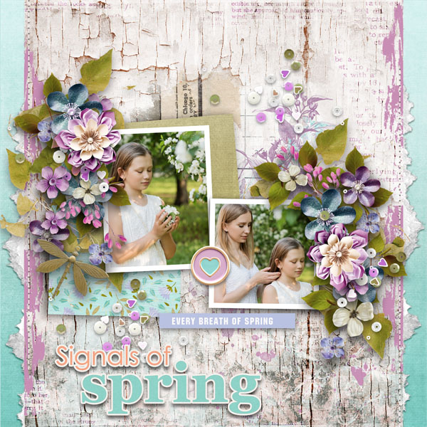 Template - Signals Of Spring