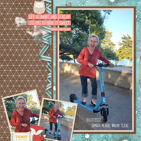 Template: The Big Picture vol 36  by Designs by Connie Prince