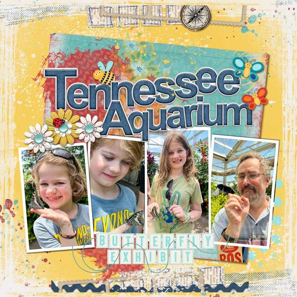 Tenneessee Aquarium