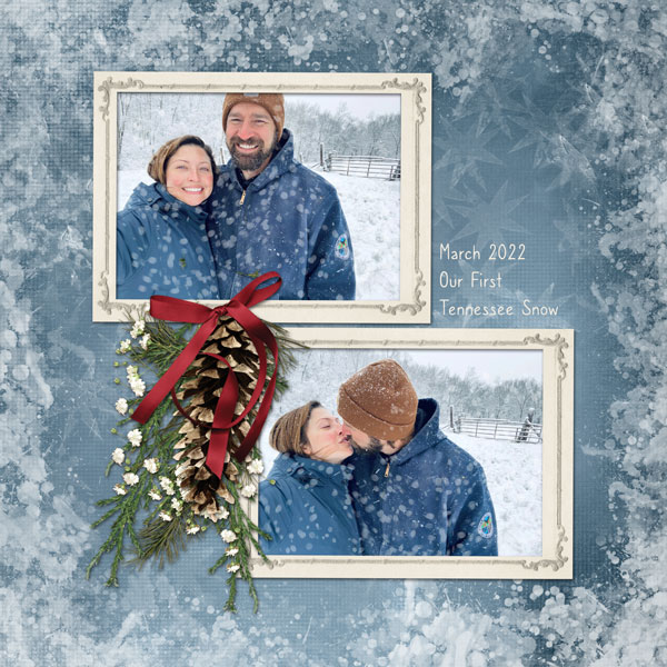 Tennessee Snow