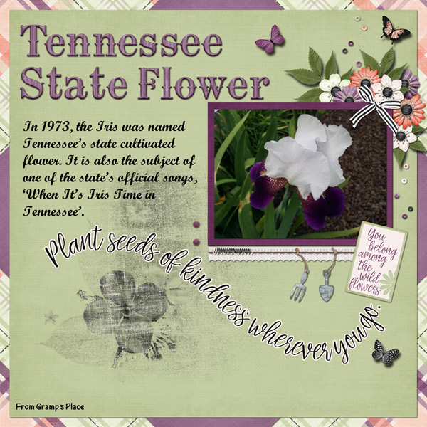 Tennessee State Flower