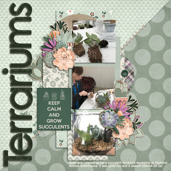 Terrariums