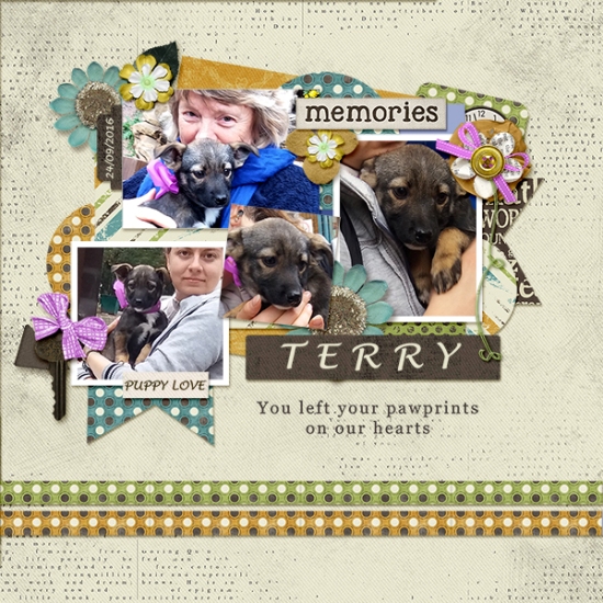Terry