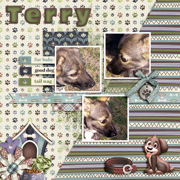 Terry
