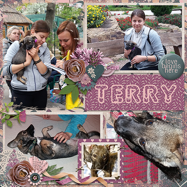 Terry