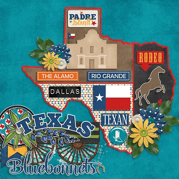 Texas Bluebonnets