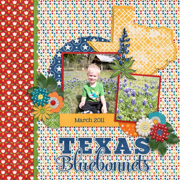Texas Bluebonnets