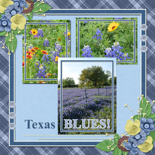 Texas BLUES!