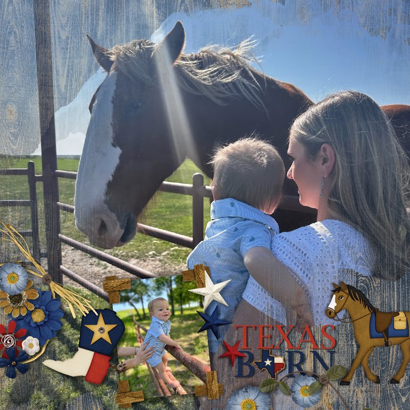 Texas Born.jpg