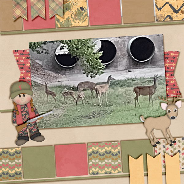 Texas Deer