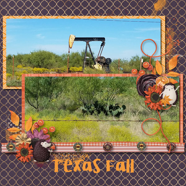 Texas Fall