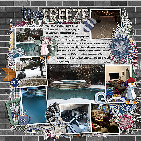 Texas Freeze
