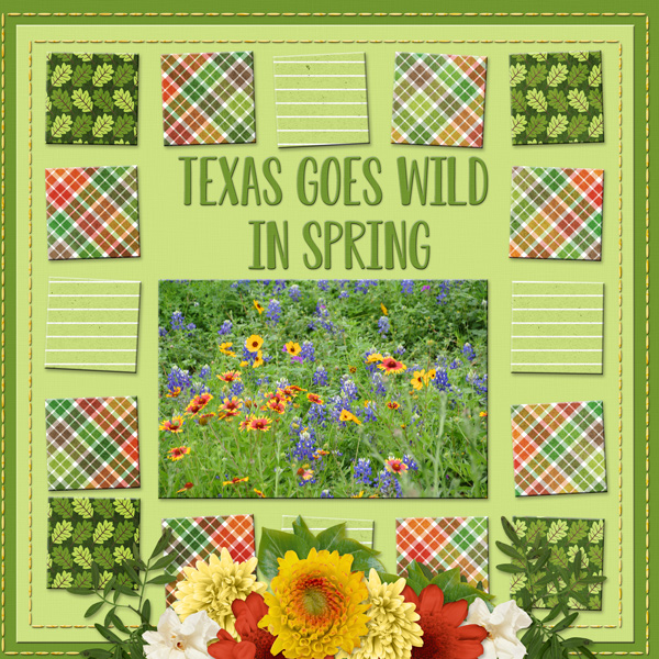 TEXAS GOES WILD IN SPRING