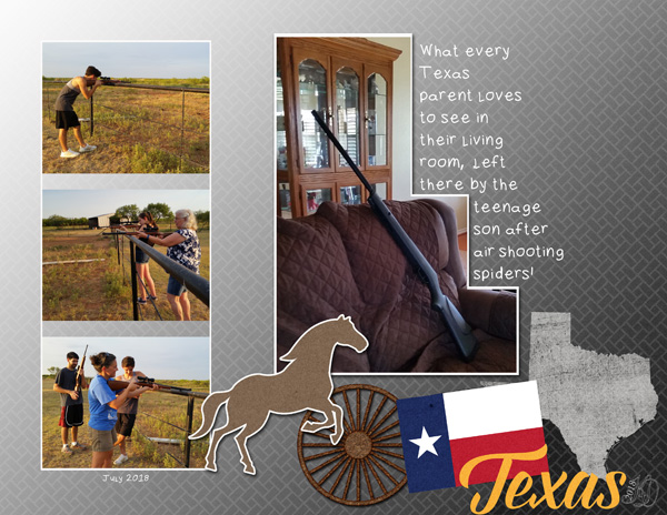 Texas gun storage