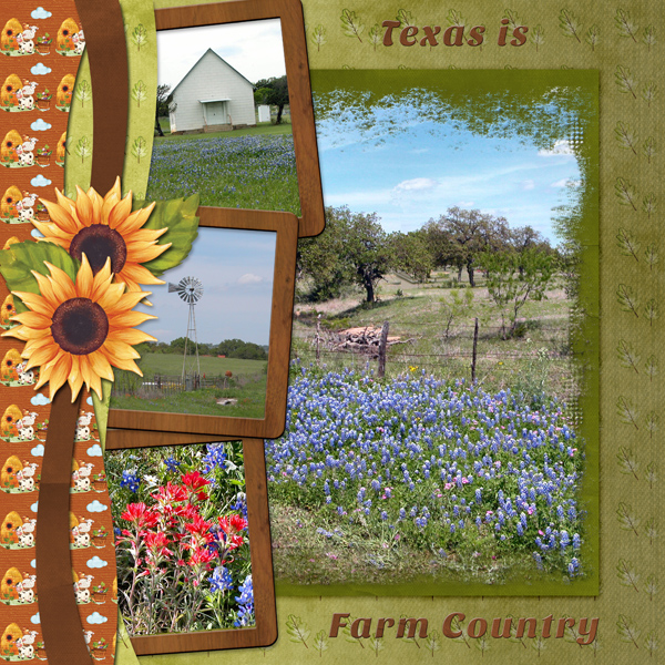 Texas is Farm Country