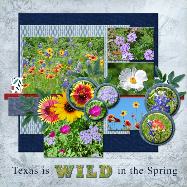 Texas is WILD in the Spring