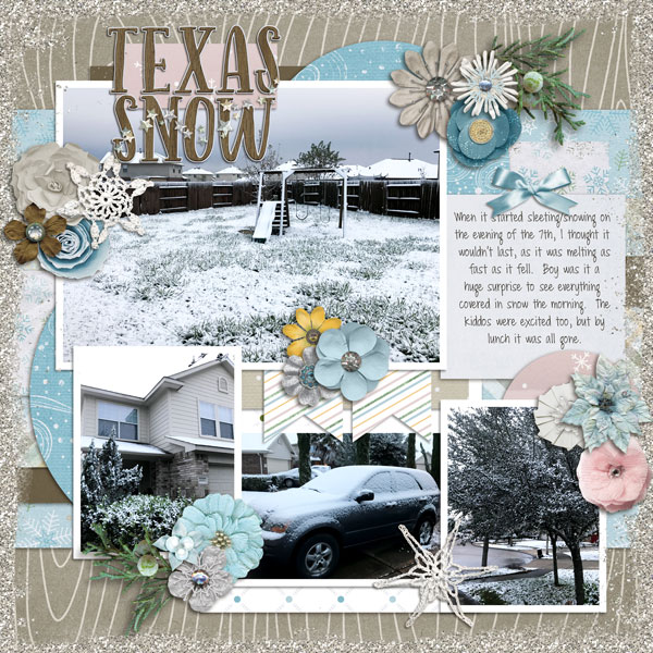 Texas Snow
