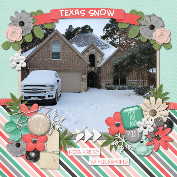 Texas Snow
