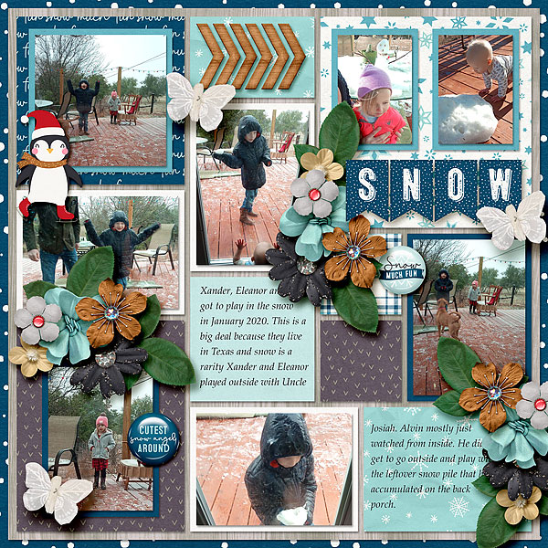 Texas Snow
