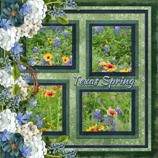 Texas Spring