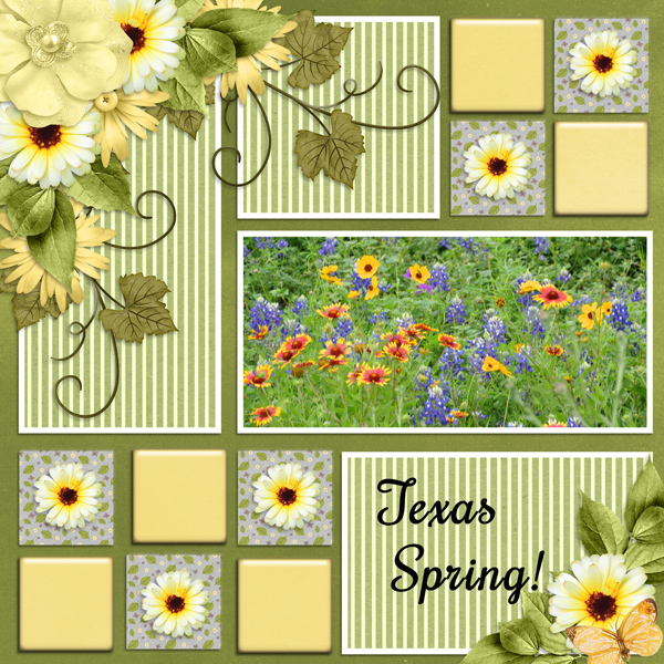 Texas Spring!
