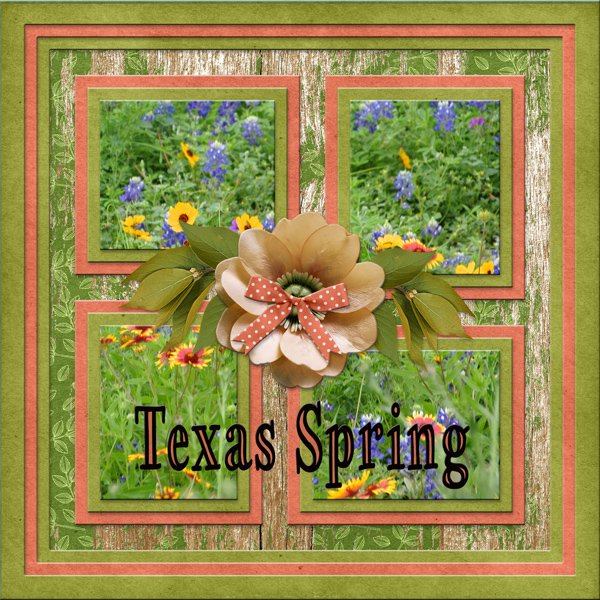 Texas Spring
