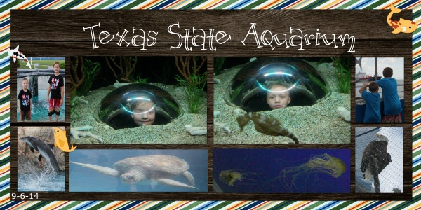 Texas State Aquarium