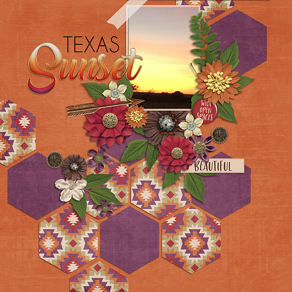 Texas Sunset