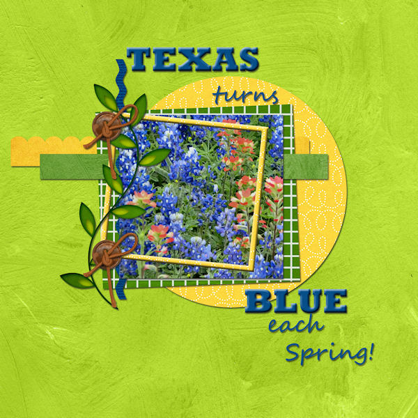 Texas turns Blue each Spring!