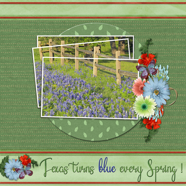 Texas turns blue every Spring