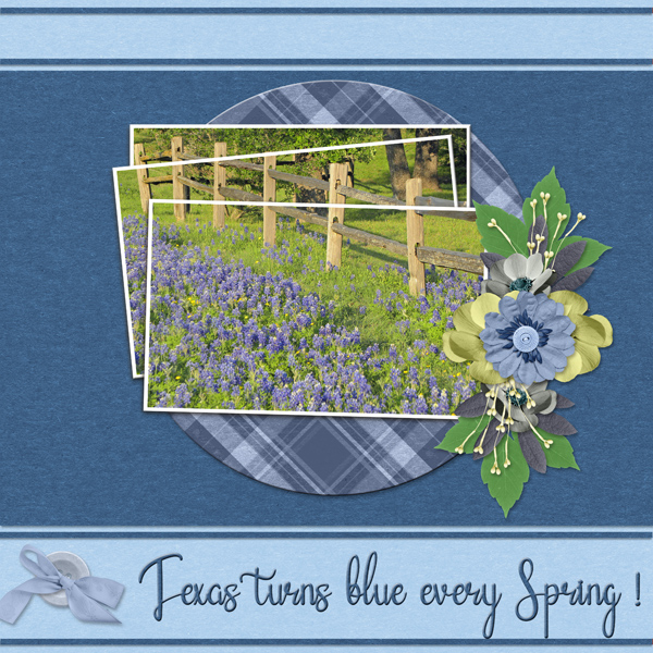 Texas turns blue every Spring