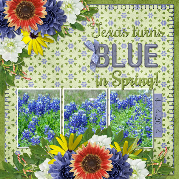 Texas turns BLUE in Spring!