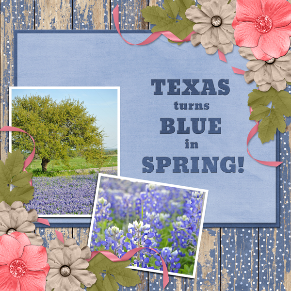 TEXAS turns BLUE in SPRING!