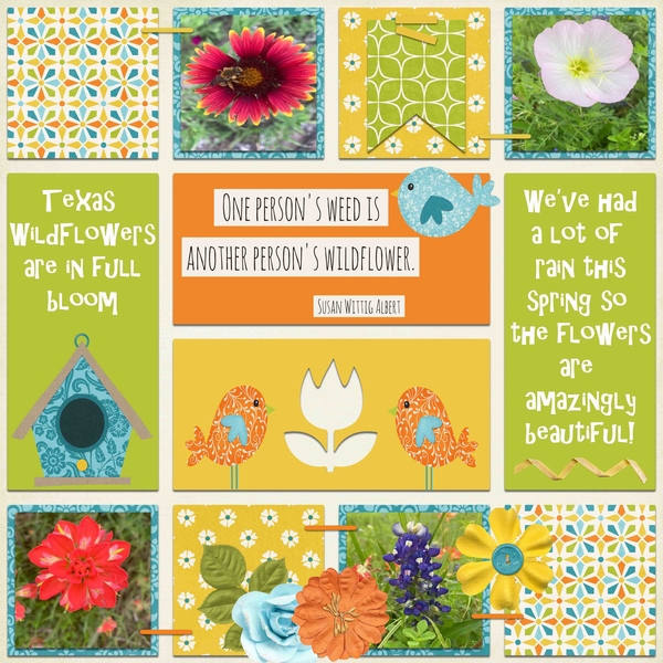 Texas Wild Flowers