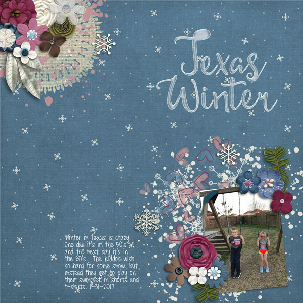 Texas Winter