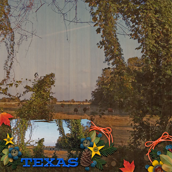 Texas