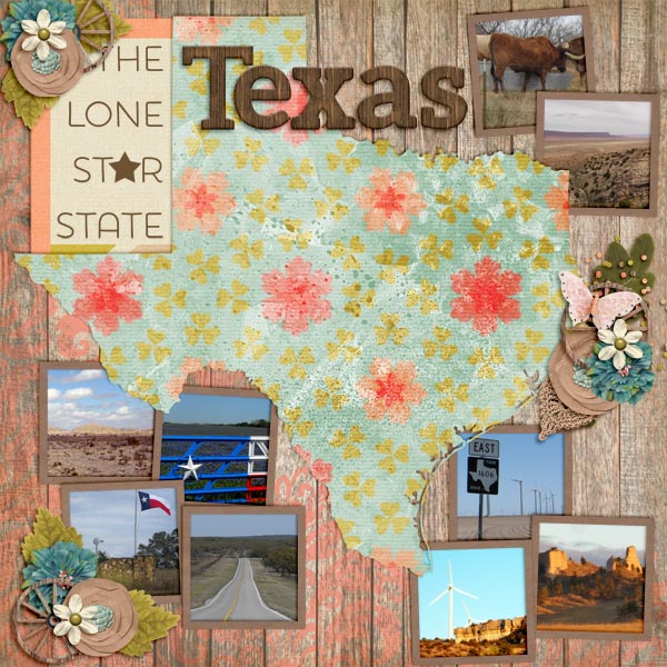 Texas2