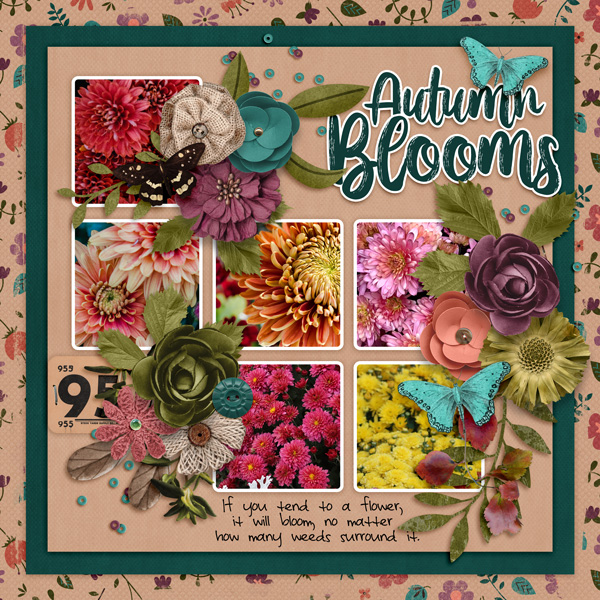 Thankful for Autumn Blooms