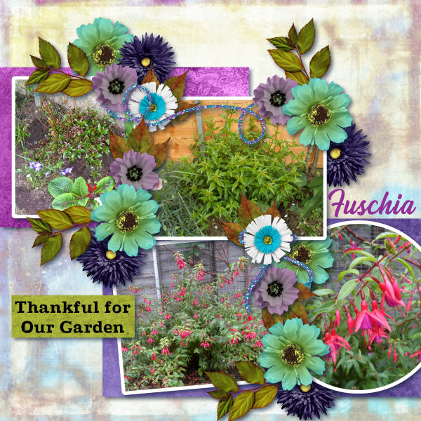 Thankful for our Garden