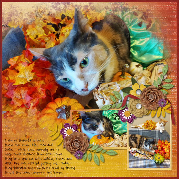 Thankful for You - LT Page
