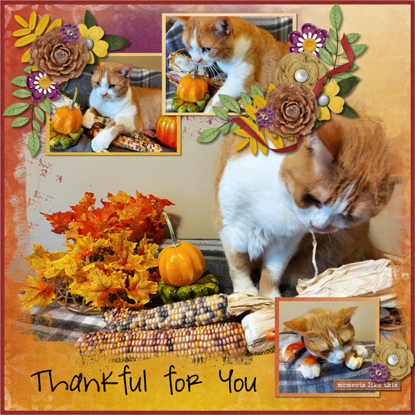 Thankful for You - RT Page