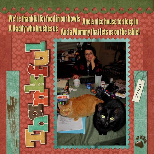 Thankful Kitties
