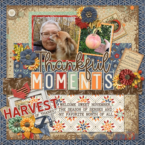 Thankful Moments