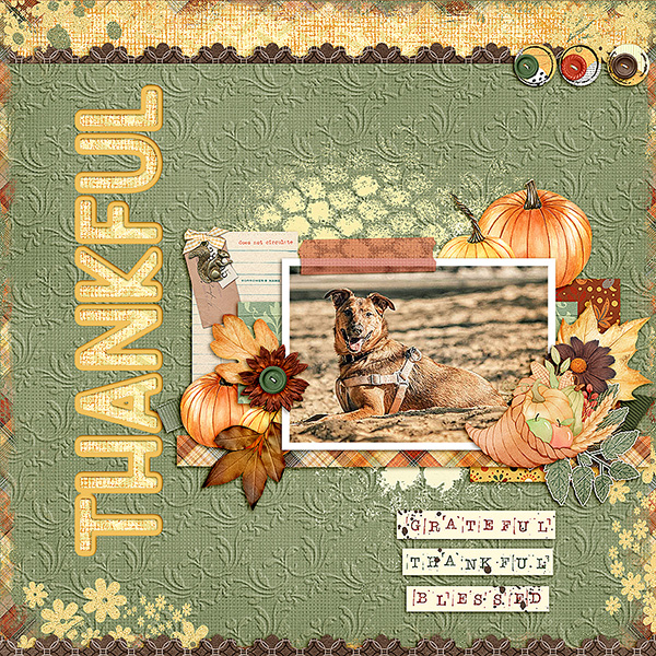 Thankfulness