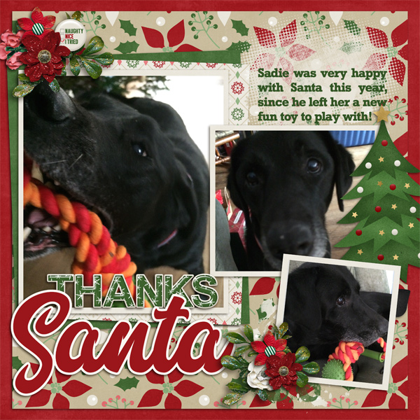 Thanks Santa!